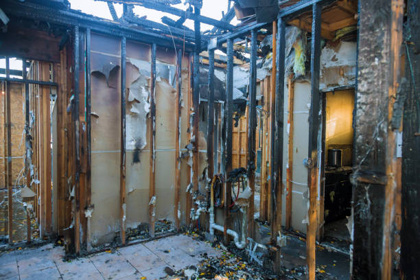 Professional Fire Damage Removal technician working in Magnolia, TX