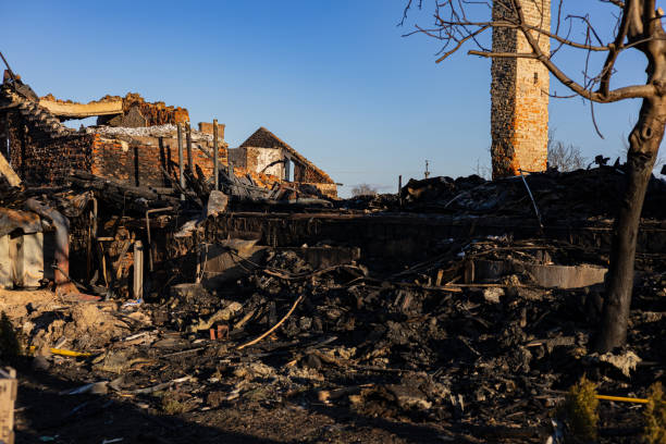 Reliable Fire Damage Removal contractor in Magnolia, TX by Fire Damage Doption
